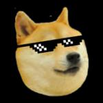 Deal with it Doge