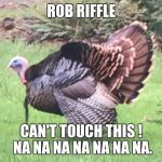 WILD TURKEY | ROB RIFFLE; CAN'T TOUCH THIS ! NA NA NA NA NA NA NA. | image tagged in wild turkey | made w/ Imgflip meme maker