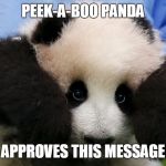 Cute Panda | PEEK-A-BOO PANDA; APPROVES THIS MESSAGE | image tagged in cute panda | made w/ Imgflip meme maker