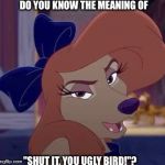 Do You Know The Meaning Of "Shut It, You Ugly Bird!"? | DO YOU KNOW THE MEANING OF; "SHUT IT, YOU UGLY BIRD!"? | image tagged in dixie,memes,the fox and the hound 2,reba mcentire,dog | made w/ Imgflip meme maker