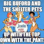 pussy cats | BIG BUFORD AND THE SHELTER PETS; UP WITH THE TOP, DOWN WITH THE PANTS.. | image tagged in pussy cats | made w/ Imgflip meme maker