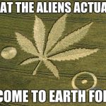Marijuana Crop Circle | WHAT THE ALIENS ACTUALLY; COME TO EARTH FOR | image tagged in marijuana crop circle | made w/ Imgflip meme maker