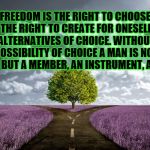 meadow choice | FREEDOM IS THE RIGHT TO CHOOSE: THE RIGHT TO CREATE FOR ONESELF THE ALTERNATIVES OF CHOICE. WITHOUT THE POSSIBILITY OF CHOICE A MAN IS NOT A MAN BUT A MEMBER, AN INSTRUMENT, A THING | image tagged in meadow choice | made w/ Imgflip meme maker