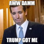 Ted Cruz Screwed | AWW DAMM; TRUMP GOT ME | image tagged in ted cruz screwed | made w/ Imgflip meme maker