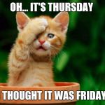 Cat Oh Man | OH... IT'S THURSDAY; I THOUGHT IT WAS FRIDAY | image tagged in cat oh man | made w/ Imgflip meme maker