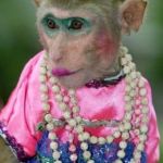 Monkey make up | WHEN YOU WENT TO YOUR FAVORITE AUNT'S HOUSE | image tagged in monkey make up | made w/ Imgflip meme maker