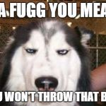 Skeptical Dog | DA FUGG YOU MEAN; YOU WON'T THROW THAT BALL | image tagged in skeptical dog | made w/ Imgflip meme maker