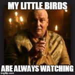 lord varys | MY LITTLE BIRDS; ARE ALWAYS WATCHING | image tagged in lord varys | made w/ Imgflip meme maker
