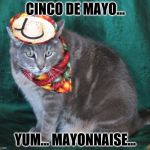 Hungry Kitten | CINCO DE MAYO... YUM... MAYONNAISE... | image tagged in mexico,cinco de mayo,mayo,funny,kitty,mexican fiesta | made w/ Imgflip meme maker