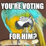 Political Parrot | YOU'RE VOTING; FOR HIM? | image tagged in dismayed parrot,political,parrot,trump,gop,dismayed | made w/ Imgflip meme maker