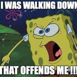 Spongebob Yelling | SO I WAS WALKING DOWN..... "THAT OFFENDS ME !!!" | image tagged in spongebob yelling | made w/ Imgflip meme maker