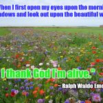 THANK GOD I'M ALIVE | "When I first open my eyes upon the morning meadows and look out upon the beautiful world, I thank God I'm alive."; ~ Ralph Waldo Emerson | image tagged in meadow | made w/ Imgflip meme maker