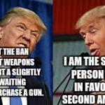 Two Donald Trumps | I AM THE STRONGEST PERSON RUNNING IN FAVOR OF THE SECOND AMENDMENT. I SUPPORT THE BAN ON ASSAULT WEAPONS AND I SUPPORT A SLIGHTLY LONGER WAITING PERIOD TO PURCHASE A GUN. | image tagged in two donald trumps | made w/ Imgflip meme maker