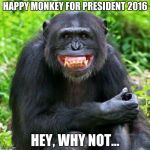 Mischievous Monkey  | HAPPY MONKEY FOR PRESIDENT 2016; HEY, WHY NOT... | image tagged in keep smiling,memes | made w/ Imgflip meme maker