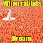 Field of dreams | When rabbits; Dream | image tagged in carrots | made w/ Imgflip meme maker