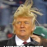 Trump hair | I WANT TO BELIEVE | image tagged in trump hair | made w/ Imgflip meme maker