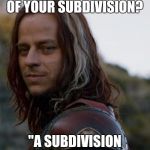 game of thrones | WHAT IS THE NAME OF YOUR SUBDIVISION? "A SUBDIVISION HAS NO NAME." | image tagged in game of thrones | made w/ Imgflip meme maker