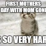 mom passed away last august . this is tough . enjoy her day with her those who are lucky to have her still here | FIRST MOTHERS DAY WITH MOM GONE; IS SO VERY HARD | image tagged in memes,sad cat | made w/ Imgflip meme maker