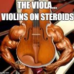Viola, a violin on steroids | THE VIOLA... VIOLINS ON STEROIDS | image tagged in viola a violin on steroids | made w/ Imgflip meme maker