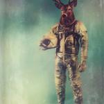 Moose in a Space suit