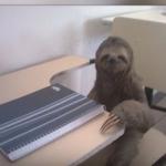 Sloth School