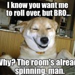 Heh. Just popped in my head... | I know you want me to roll over, but BRO... Why? The room's already spinning, man. | image tagged in 10 dog,memes | made w/ Imgflip meme maker