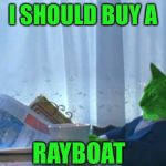 I should buy a RayBoat | I SHOULD BUY A; RAYBOAT | image tagged in i should buy a boat raycat,memes | made w/ Imgflip meme maker