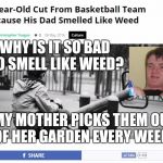 "Weed" and "weeds" confuse me... | WHY IS IT SO BAD TO SMELL LIKE WEED? MY MOTHER PICKS THEM OUT OF HER GARDEN EVERY WEEK... | image tagged in smoke weed everyday,10 guy | made w/ Imgflip meme maker