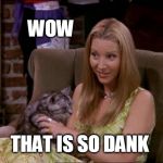 Smelly Cat | WOW; THAT IS SO DANK | image tagged in phoebe,dank meme,smelly cat | made w/ Imgflip meme maker
