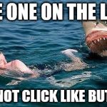 shark attack | THE ONE ON THE LEFT; DID NOT CLICK LIKE BUTTON | image tagged in shark attack | made w/ Imgflip meme maker