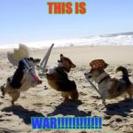 Dogs fight | THIS IS; WAR!!!!!!!!!!!! | image tagged in dogs fight,scumbag | made w/ Imgflip meme maker