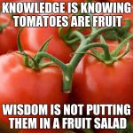 Tomato | KNOWLEDGE IS KNOWING TOMATOES ARE FRUIT; WISDOM IS NOT PUTTING THEM IN A FRUIT SALAD | image tagged in tomato | made w/ Imgflip meme maker
