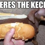 asian hot dog | WHERES THE KECHUP | image tagged in asian hot dog | made w/ Imgflip meme maker