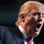 Trump nation