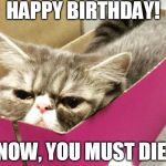 ..And NO more. | HAPPY BIRTHDAY! NOW, YOU MUST DIE. | image tagged in muffin cat,happy birthday,angry cat,grumpy cat,grumpy cat birthday,last wish | made w/ Imgflip meme maker