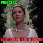 12th Disney Princess | 12 DISNEY PRINCESS; SHARE IF YOU AGREE, LIKE IF YOU WOULD VOTE | image tagged in 12th disney princess,star wars,princess leia,solo,geek,nerd | made w/ Imgflip meme maker