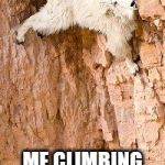 goat rock climbing | ME CLIMBING MOUNT EVEREST | image tagged in goat rock climbing | made w/ Imgflip meme maker