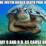 I got another chance but i don't really think that a gopher accident on june 14 will happen. | I LOST THE JUSTIN BIEBER DEATH POOL AT WORK; I HAD MAY 9 AND O.D. AS CAUSE OF DEATH | image tagged in disappointed turtle | made w/ Imgflip meme maker