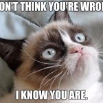 Grumpy cat | I DON'T THINK YOU'RE WRONG, I KNOW YOU ARE. | image tagged in grumpy cat | made w/ Imgflip meme maker