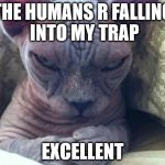 funny | THE HUMANS R FALLING INTO MY TRAP; EXCELLENT | image tagged in funny | made w/ Imgflip meme maker