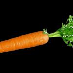 independent carrot