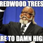 bar to damn high | REDWOOD TREES; ARE TO DAMN HIGH | image tagged in bar to damn high | made w/ Imgflip meme maker