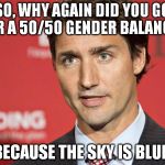 Trudeau | SO, WHY AGAIN DID YOU GO FOR A 50/50 GENDER BALANCE? BECAUSE THE SKY IS BLUE. | image tagged in trudeau | made w/ Imgflip meme maker