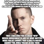 Eminem video game logic | SO, IF "WANTING" TO GET THE ILLEGAL IMMIGRATION ISSUE UNDER CONTROL IS RACIST BECAUSE REASONS TO FIX IT IS IT COSTS TAX PAYERS OVER 5 BILLIO | image tagged in eminem video game logic | made w/ Imgflip meme maker