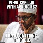 Nigerian President | WHAT CAN I DO WITH APOLOGIES? I NEED SOMETHING TANGIBLE | image tagged in nigerian president | made w/ Imgflip meme maker