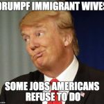 Donald Drumpf | DRUMPF IMMIGRANT WIVES; SOME JOBS AMERICANS REFUSE TO DO | image tagged in donald drumpf | made w/ Imgflip meme maker