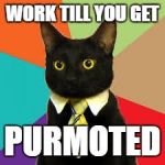 Buisness Cat  | WORK TILL YOU GET; PURMOTED | image tagged in buisness cat | made w/ Imgflip meme maker