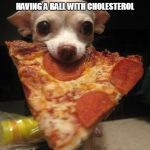fitness | HAVING A BALL WITH CHOLESTEROL | image tagged in fitness | made w/ Imgflip meme maker