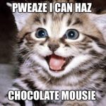 I'm just submitting stuff not to lose my 3 spots.  | PWEAZE I CAN HAZ; CHOCOLATE MOUSIE | image tagged in uber cute cat,hungry,i can,memes,funny,cute | made w/ Imgflip meme maker