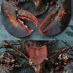 Lobster Madness meme